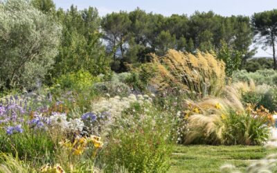 « Fleurir sans effort : l’art d’entretenir les fleurs de son jardin »