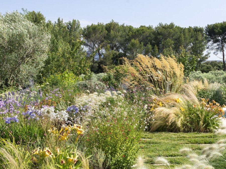 « Fleurir sans effort : l’art d’entretenir les fleurs de son jardin »