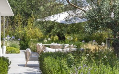 « Les nuisibles du jardin : comprendre, prévenir et protéger ses plantes »