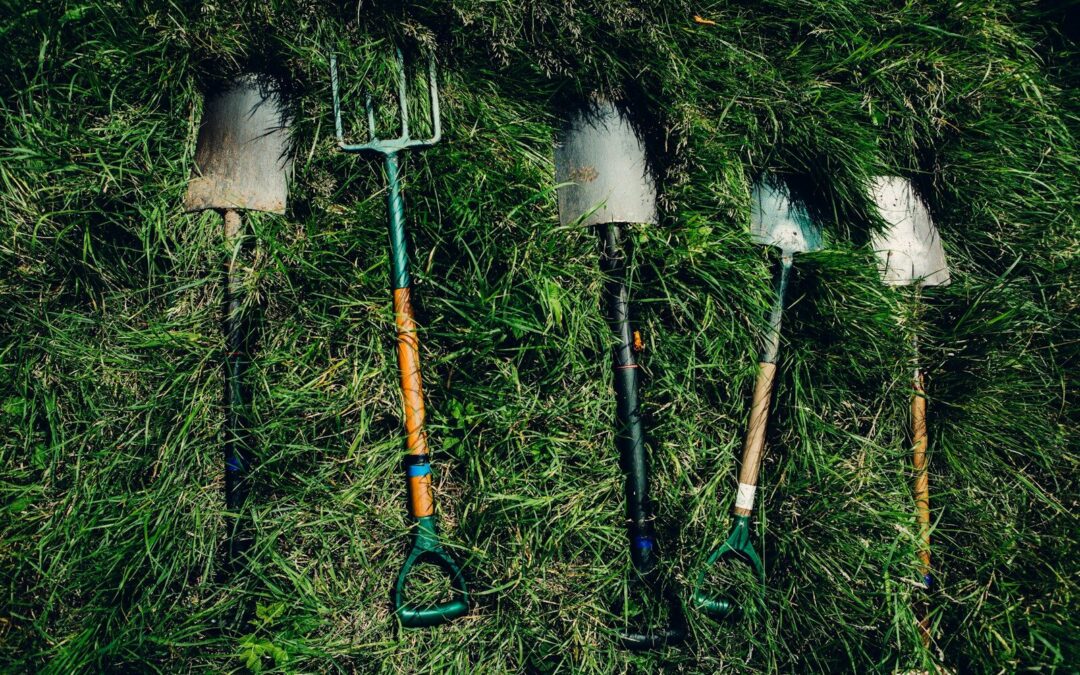 Les matériaux essentiels pour un jardinage durable et efficace
