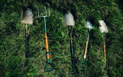 Les matériaux essentiels pour un jardinage durable et efficace