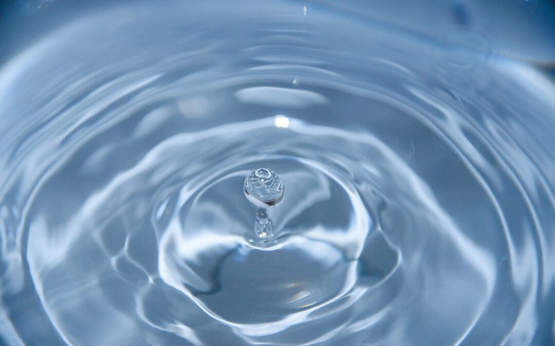 « L’eau : source de vie et secret de la vitalité des plantes »