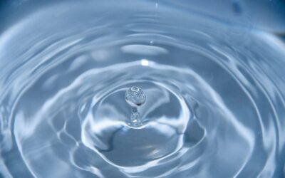 « L’eau : source de vie et secret de la vitalité des plantes »