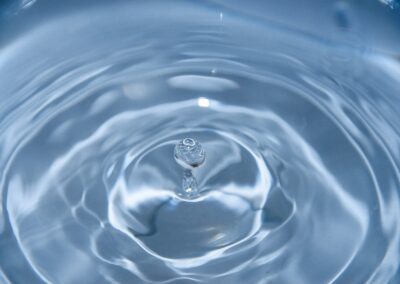 « L’eau : source de vie et secret de la vitalité des plantes »
